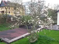 20160422_183950.webp