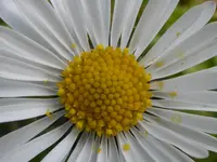 P1000109.webp