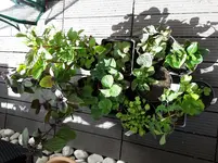 20160423_121331.webp