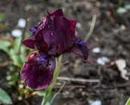 IMG_8204-2.webp