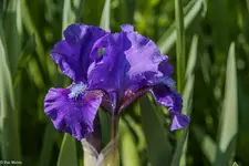 IMG_8205.webp