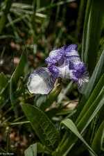 IMG_8208.webp