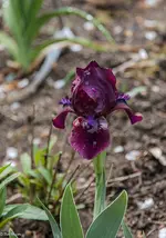 IMG_8230-2.webp