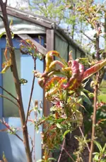 Samstag2016 008.webp