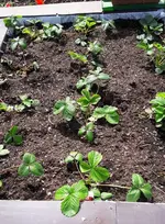 Samstag2016 012.webp