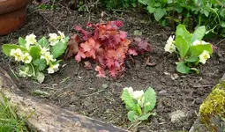 P1110570.webp