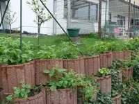 P1100248.webp