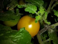 20160424_082354.jpg