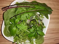 20160423_132044.webp
