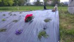 20160422_193715.jpg