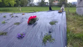 20160422_193715.webp