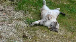 20160423_144929.webp
