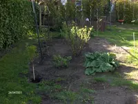 HPIM1838.webp