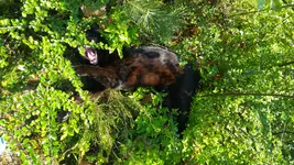 20160420_165429.webp
