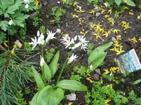 20.04.2016 mit ca 004.webp