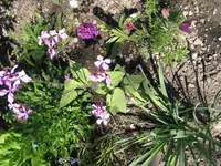 20.04.2016 mit ca 015.webp