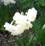 Samstag2016 009.webp