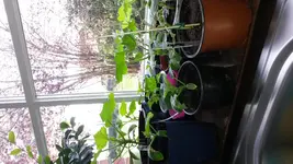 20160424_084611.webp