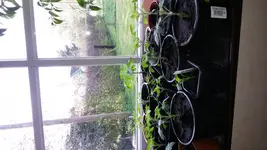 20160424_084628.jpg