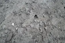 SAM_1077.webp
