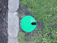 image.jpg