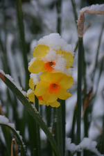 DSC_7302.webp
