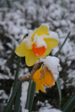 DSC_7304.webp