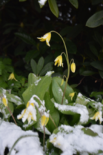 DSC_7305.webp