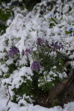 DSC_7308.webp