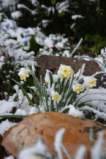 DSC_7309.webp