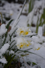 DSC_7310.webp