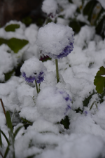 DSC_7311.webp