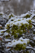 DSC_7312.webp