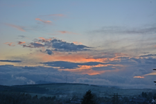 DSC_7319.webp