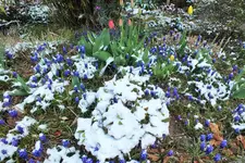 DSCF5729 (2).webp