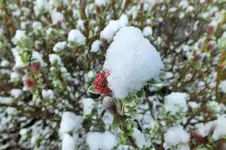 DSCF5716 (2).webp