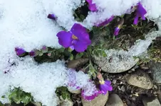 DSCF5714 (2).webp