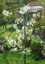 k-P1100263.webp