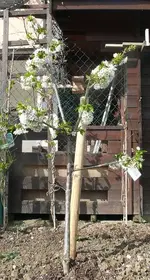 k-P1100265.webp