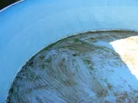 Poolreinigung01.webp