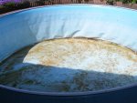 Poolreinigung2.jpg
