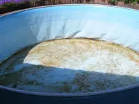 Poolreinigung02.webp