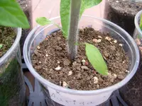 25. April 2016 (2).webp
