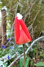 DSCF5722 (2).webp
