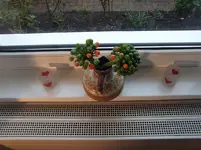 Sc. Samen 28-11-15 .webp