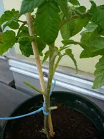 2016-04-26 06.23.56.jpg