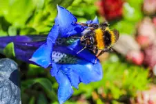 2016-04-22-0340.webp