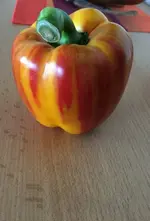 Paprika.webp