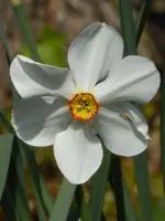 P1000130.webp
