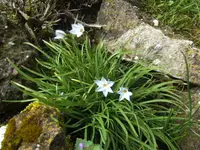 BILD4927.webp